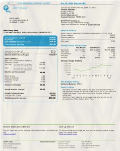 Florida FPL Energy Utility Bill PSD Template